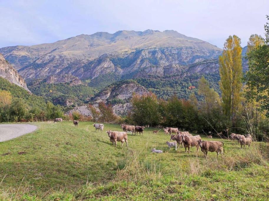 El Refugio De Tena - Tucasaenlospirineos Escarrilla Kültér fotó