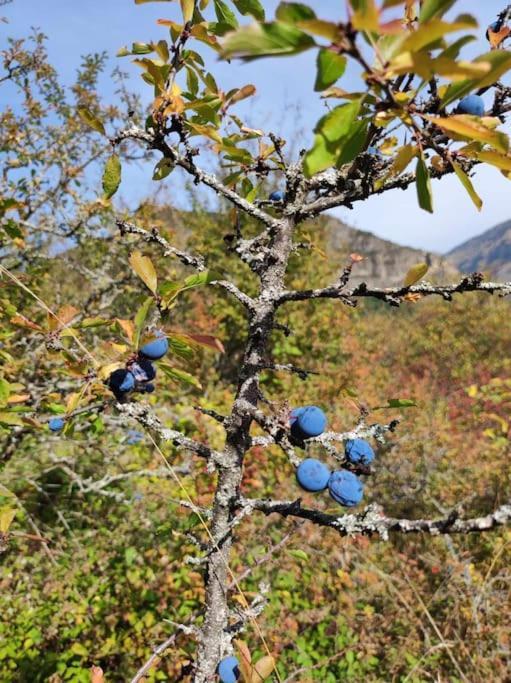 El Refugio De Tena - Tucasaenlospirineos Escarrilla Kültér fotó